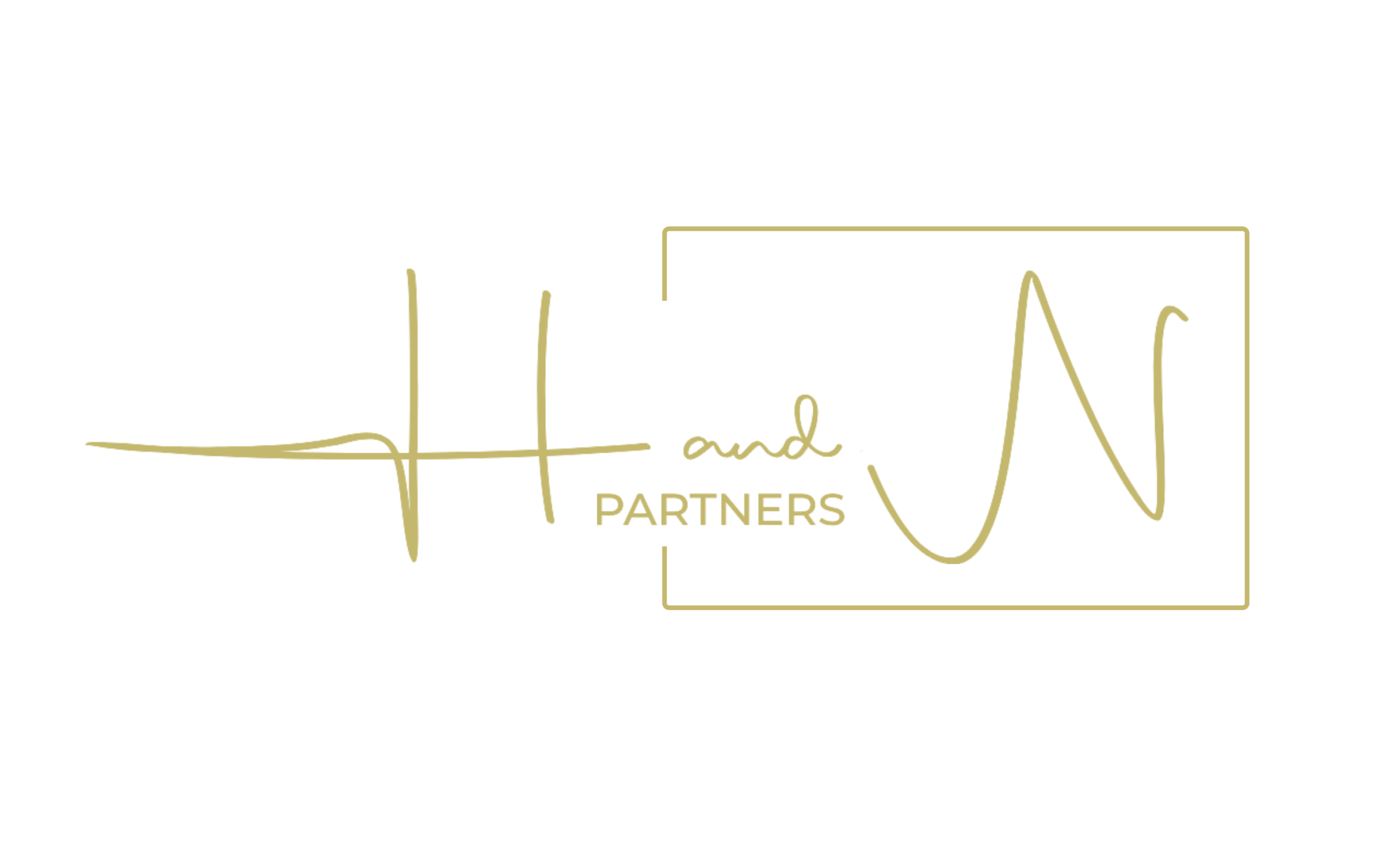 H and N Partners
